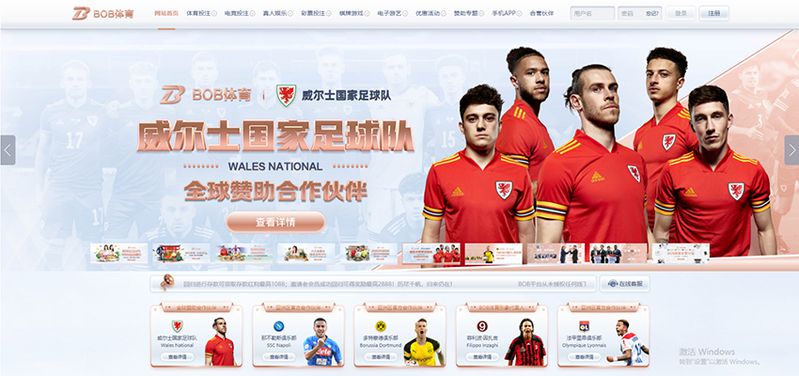 B196体育 - 德甲多特蒙德官方合作伙伴 2 B196体育简介